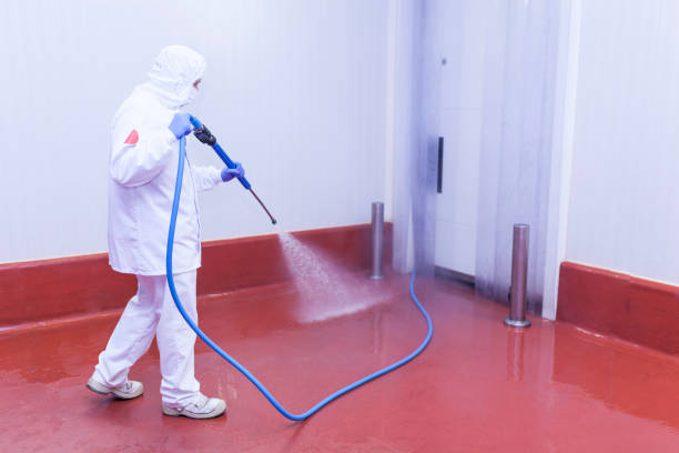 Best Concrete Surface Cleaning in Arabi, LA